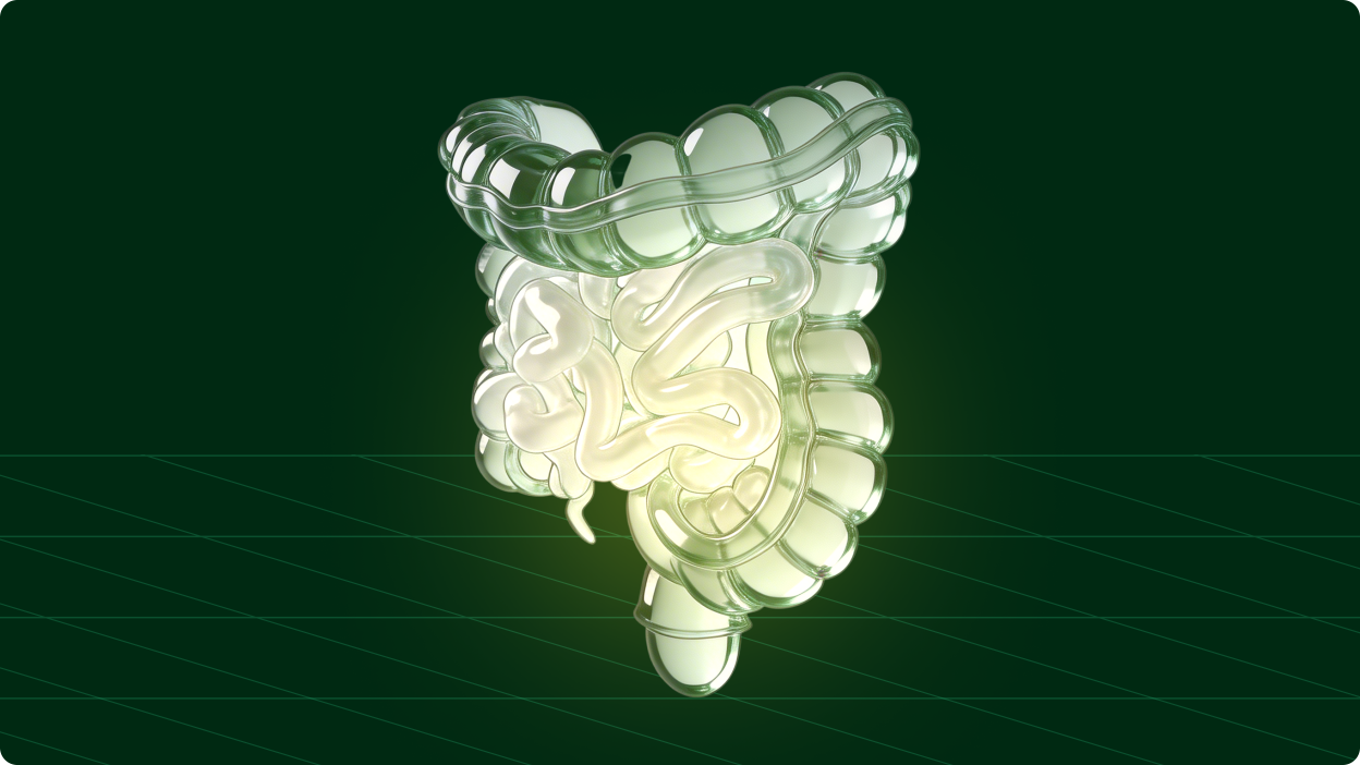 3D glass illustration of the human intestinal tract showing the large and small intestine on a dark green background — what is gut health and how to improve it naturally through diet