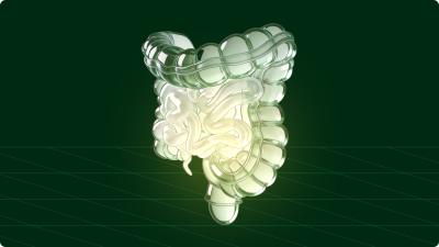 3D glass illustration of the human intestinal tract showing the large and small intestine on a dark green background — what is gut health and how to improve it naturally through diet