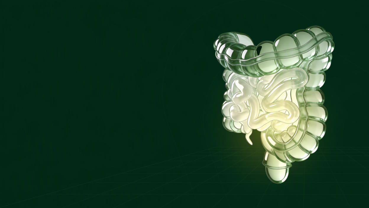 SIBO and IBS: Is Bacterial Overgrowth Really the Cause?