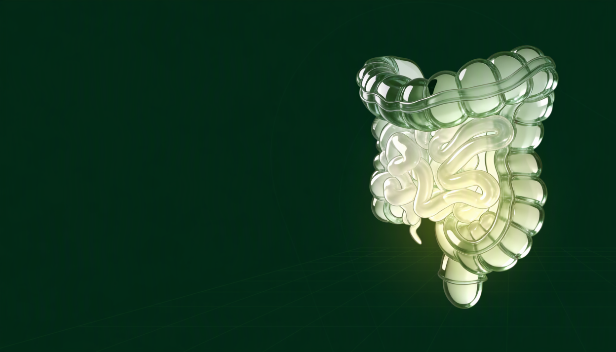 SIBO and IBS: Is Bacterial Overgrowth Really the Cause?