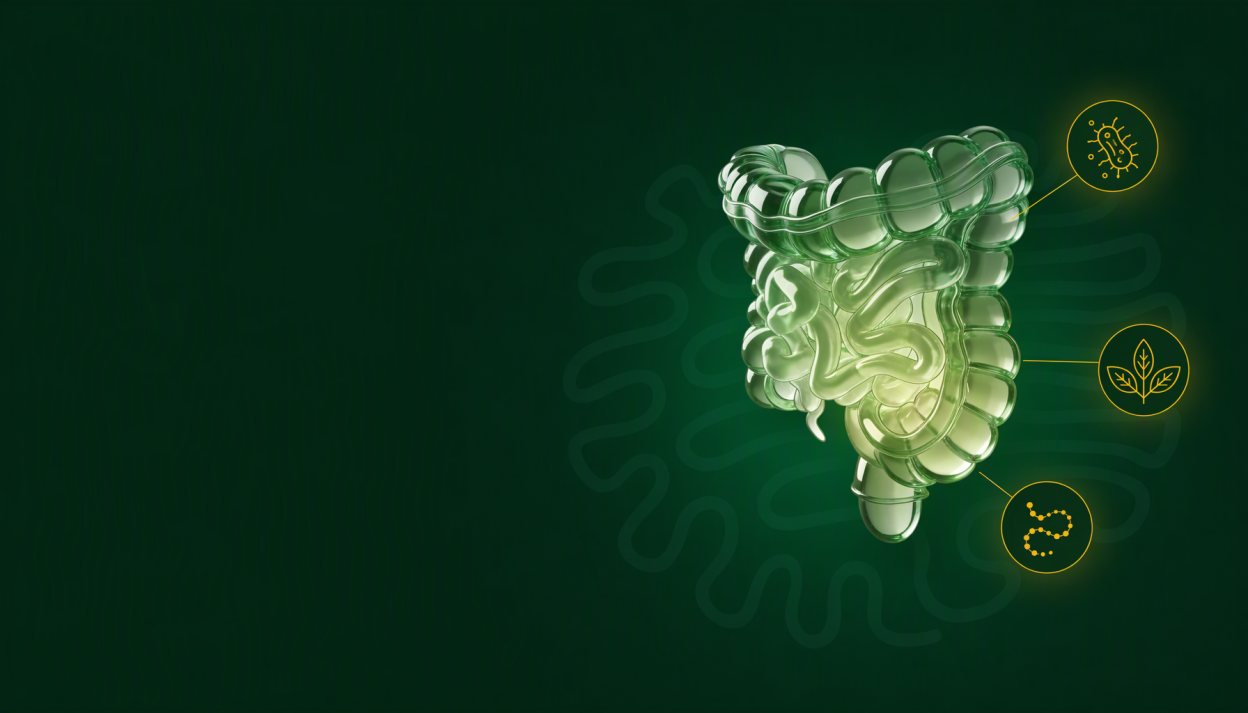 sibo symptoms
